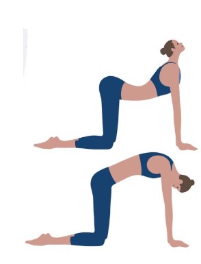 층간소음 걱정 끝! 밤 10시에도 가능한 고요한 홈트 요가 루틴