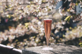 2025년 서울 벚꽃개화시기 예측(+서울 벚꽃 명소추천)