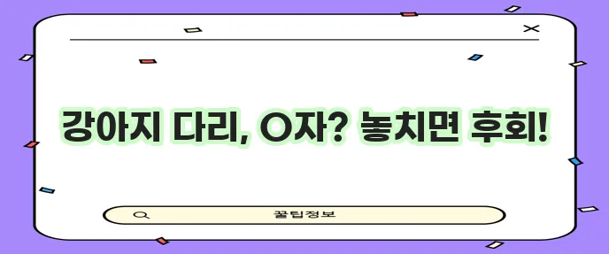 강아지 슬개골 탈구 증상 원인 치료법 꼭 알아야 합니다
