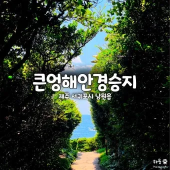 제주도 서귀포 남원 큰엉해안경승지 한반도 지형 포토존과 여행 꿀팁으로 정리_23