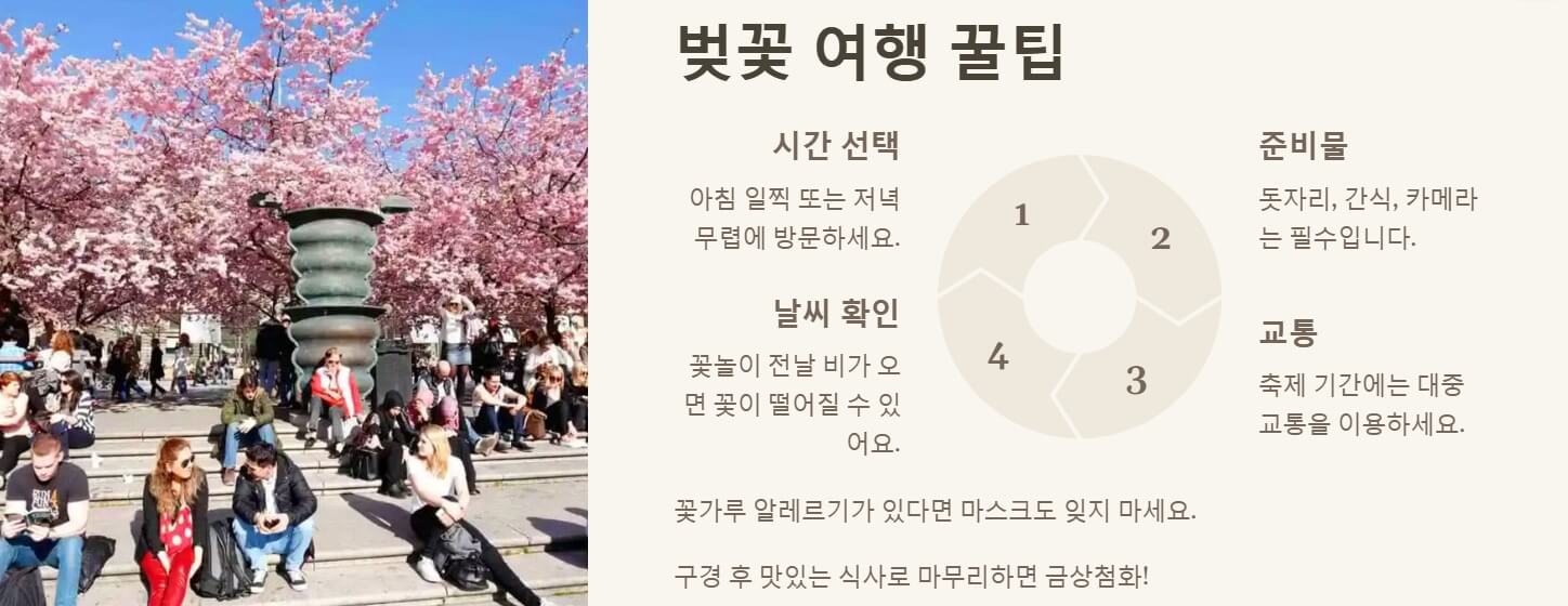 전국 벚꽃 명소 개화시기