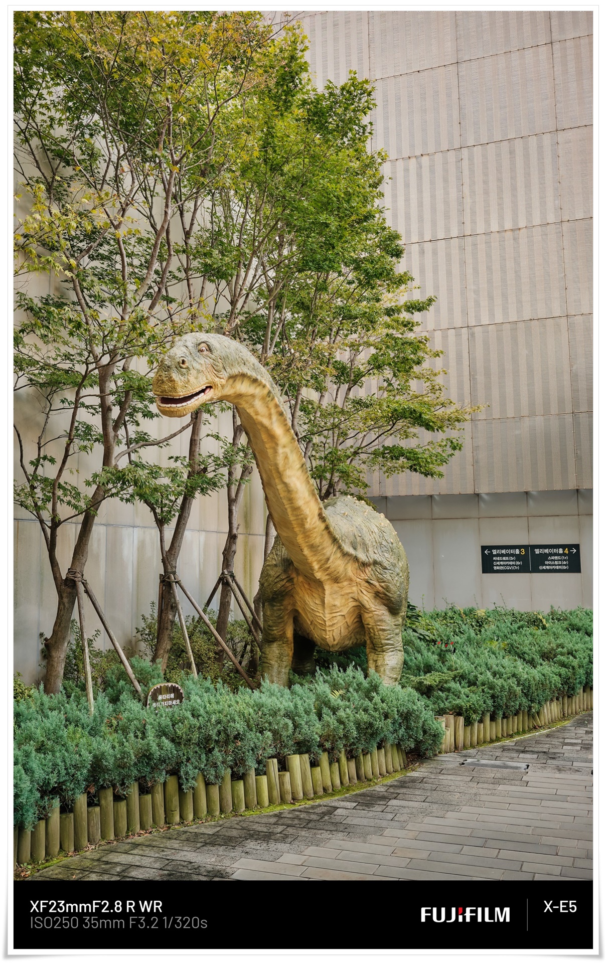 주라지 말라위사우루스 공룡 모형