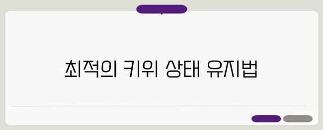 키위 보관법 이보다 자세히 설명할순없다