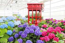 휴애리 입장료 50% 할인받는 법