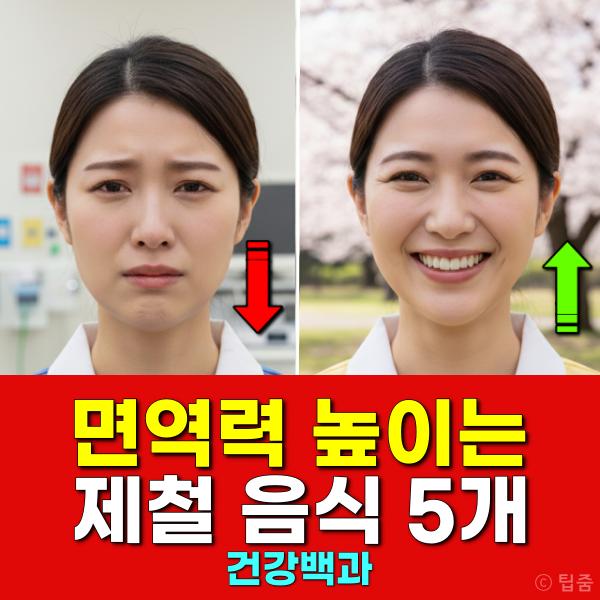 면역력 높이는 제철음식