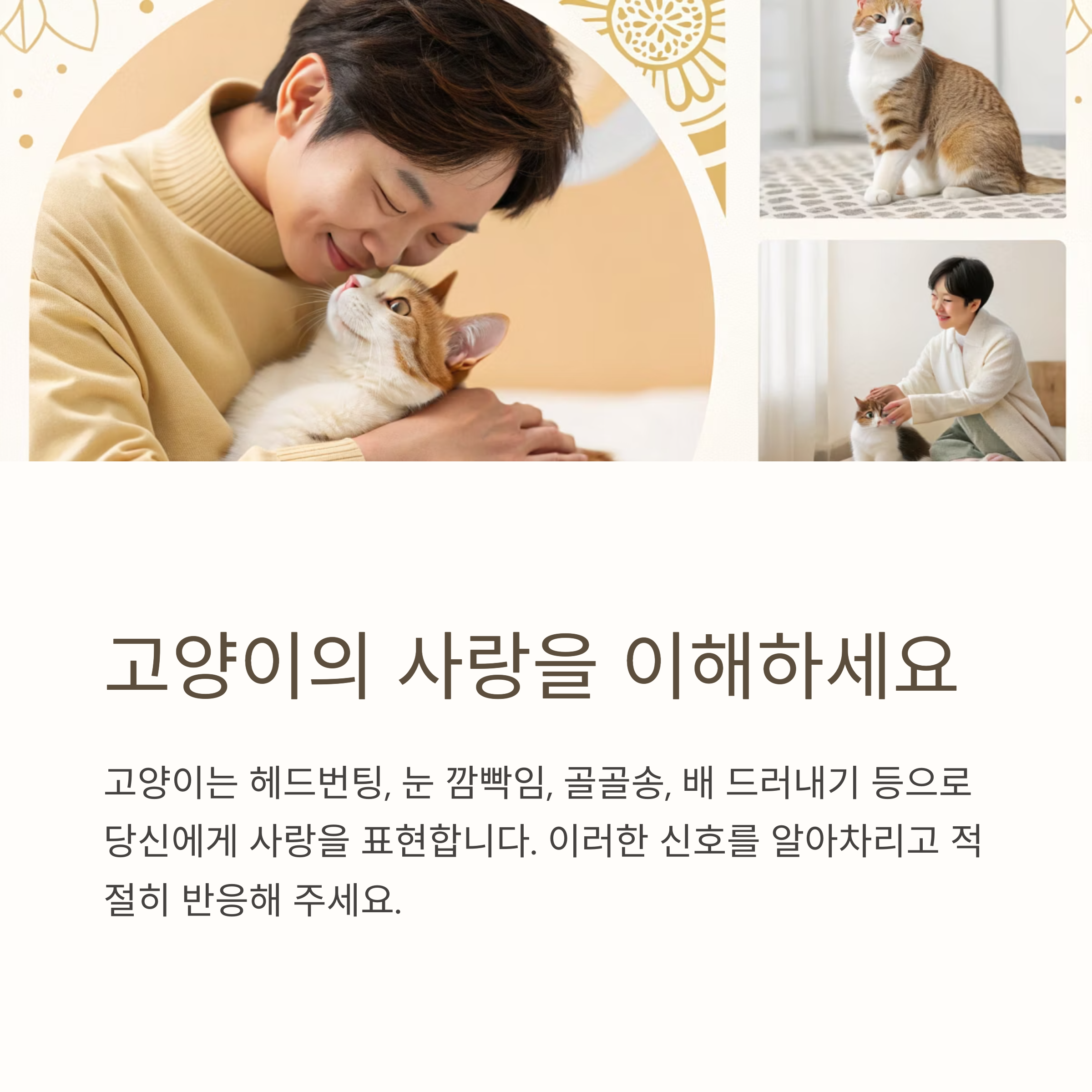 고양이의 사랑을 이해하세요