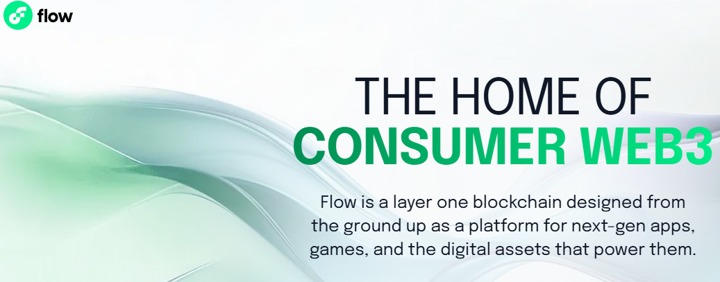 플로우-코인-웹사이트