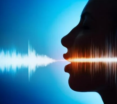 시티즌코난 피싱아이즈 보이스피싱 예방 방법