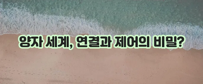 양자 집합체와 양자 피드백 설명 그리고 같은 점은 무엇일까요?