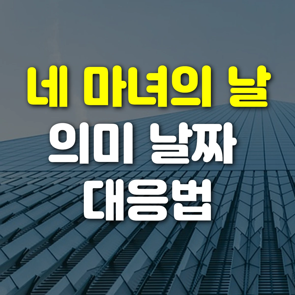 네 마녀의 날 의미 날짜 대응법