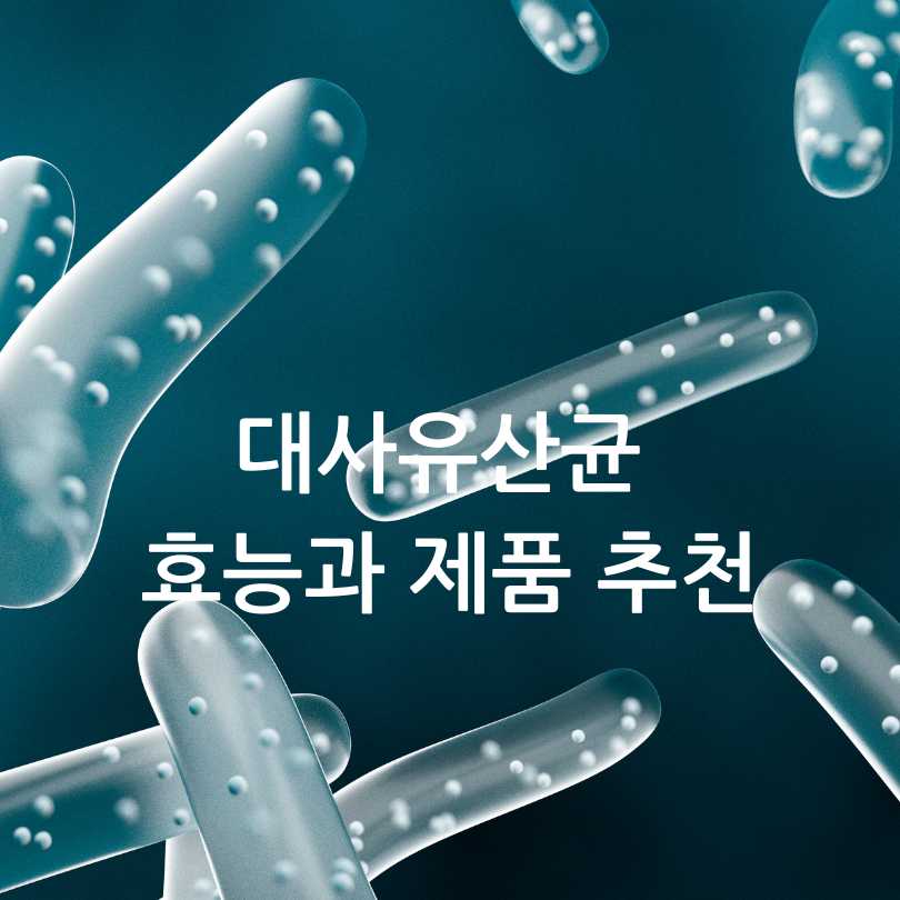 대사유산균 효능과 제품 추천