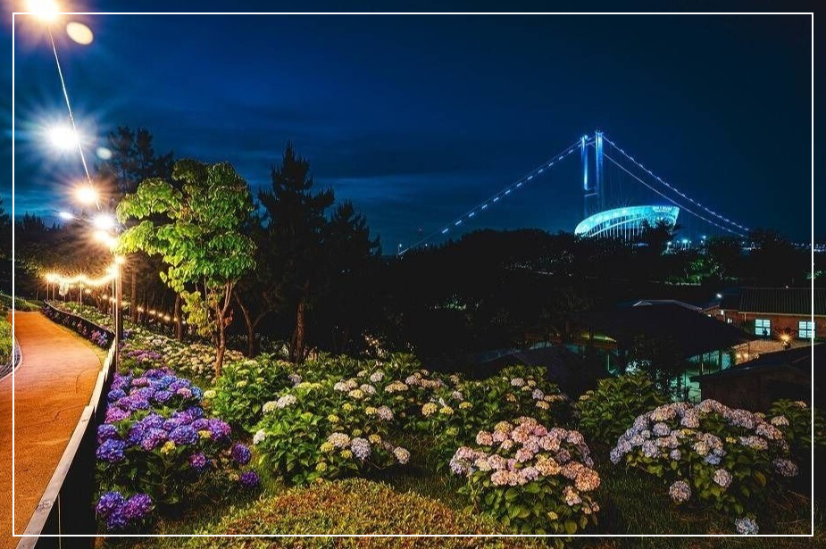 울산 장생포 수국축제