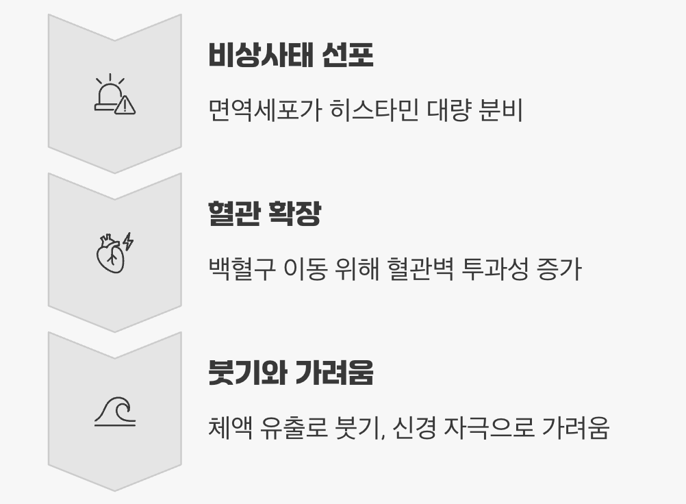 우리 몸의 비상벨, 히스타민의 출동