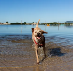 아연 영양제 추천 먹는 시간 부작용