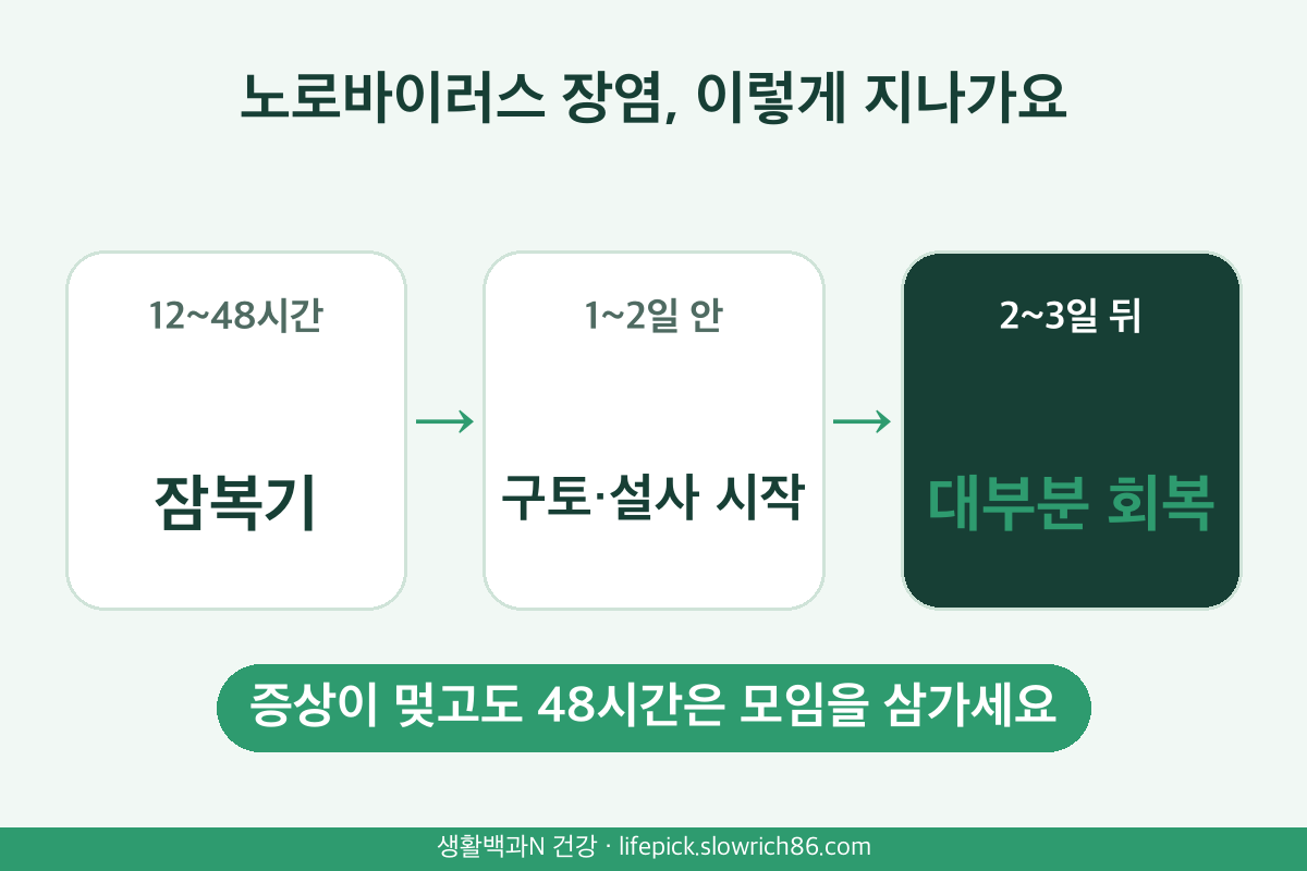 노로바이러스 장염 증상 경과 잠복기 12~48시간 구토 설사 2~3일 회복