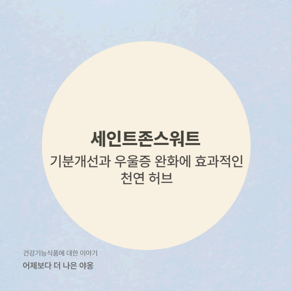 세인트존스워트(St. John's Wort)의 효능! 기분 개선과 우울증 완화에 도움이 될까?