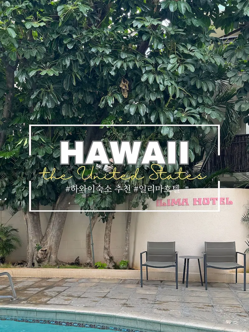 일리마호텔 수영장 전경