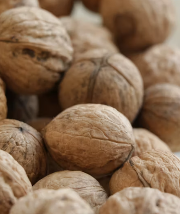 호두 효능과 부작용 하루섭취량 먹는방법 고르는법