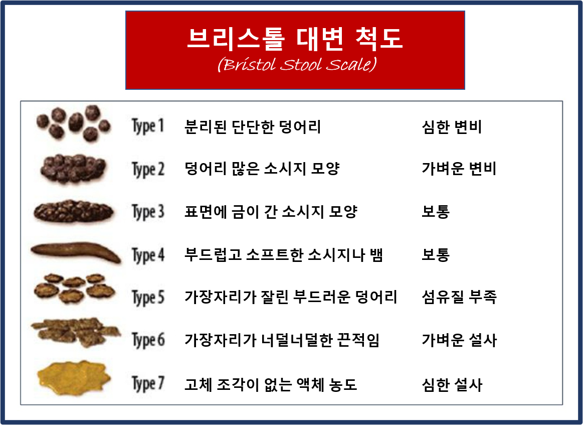 프로바이오틱스