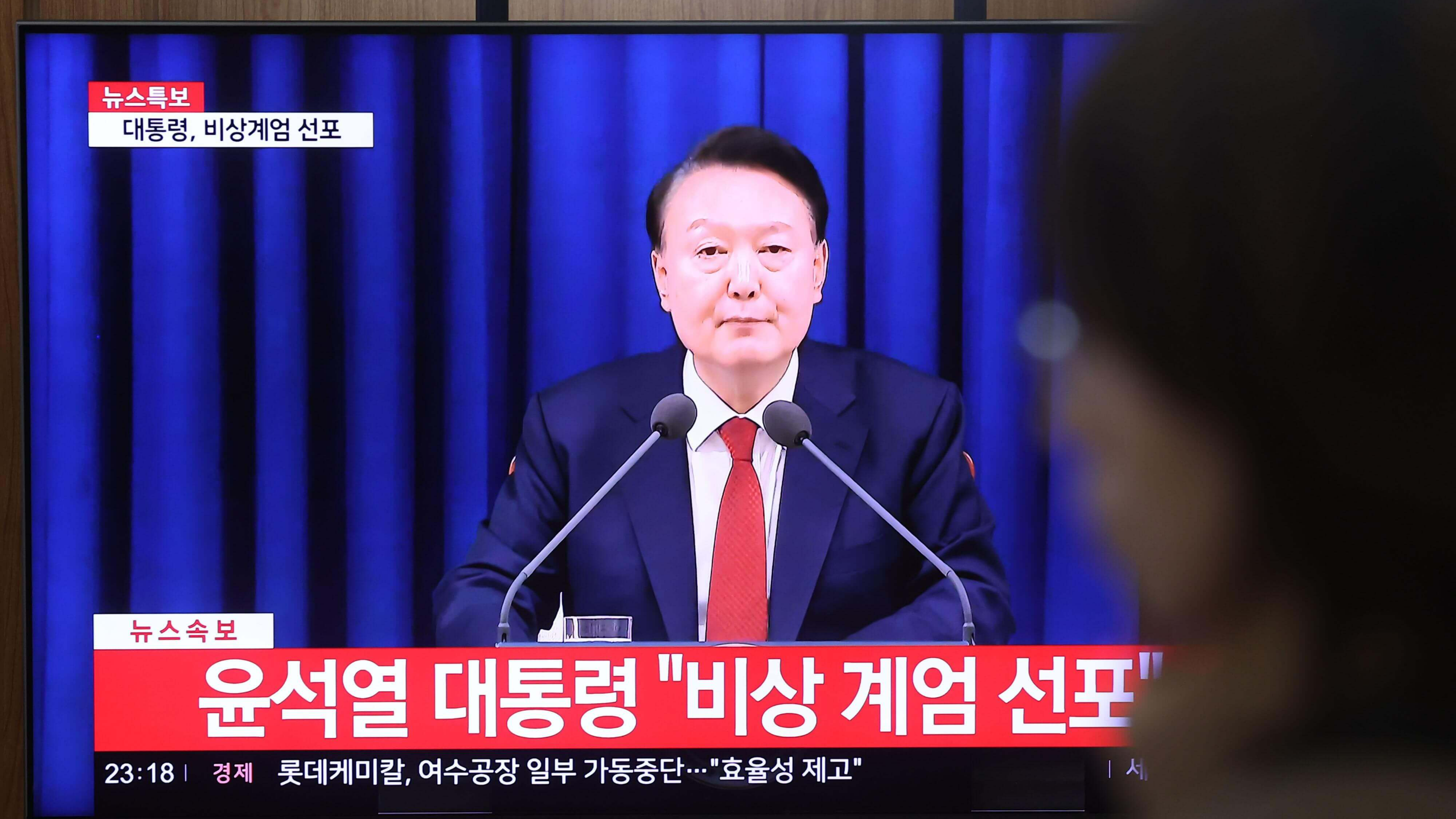 탄핵 하야 가결 부결