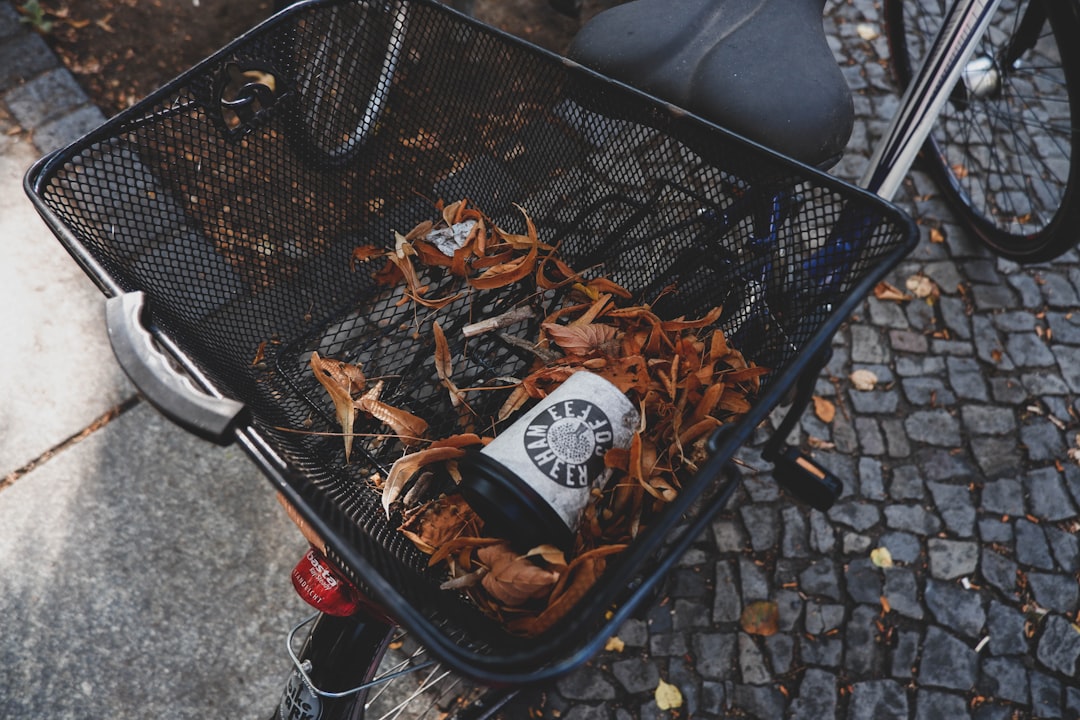 Food waste disposer