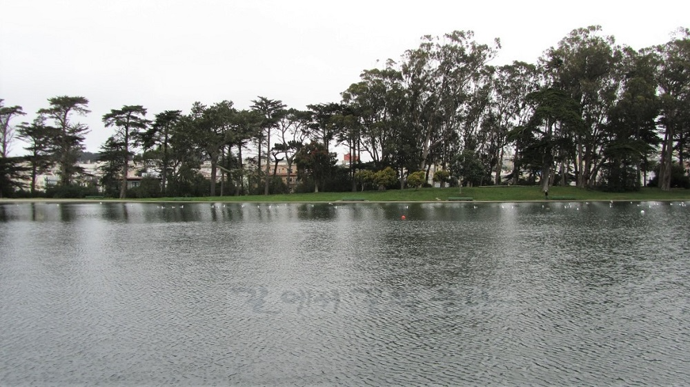 금문공원(Golden Gate Park)