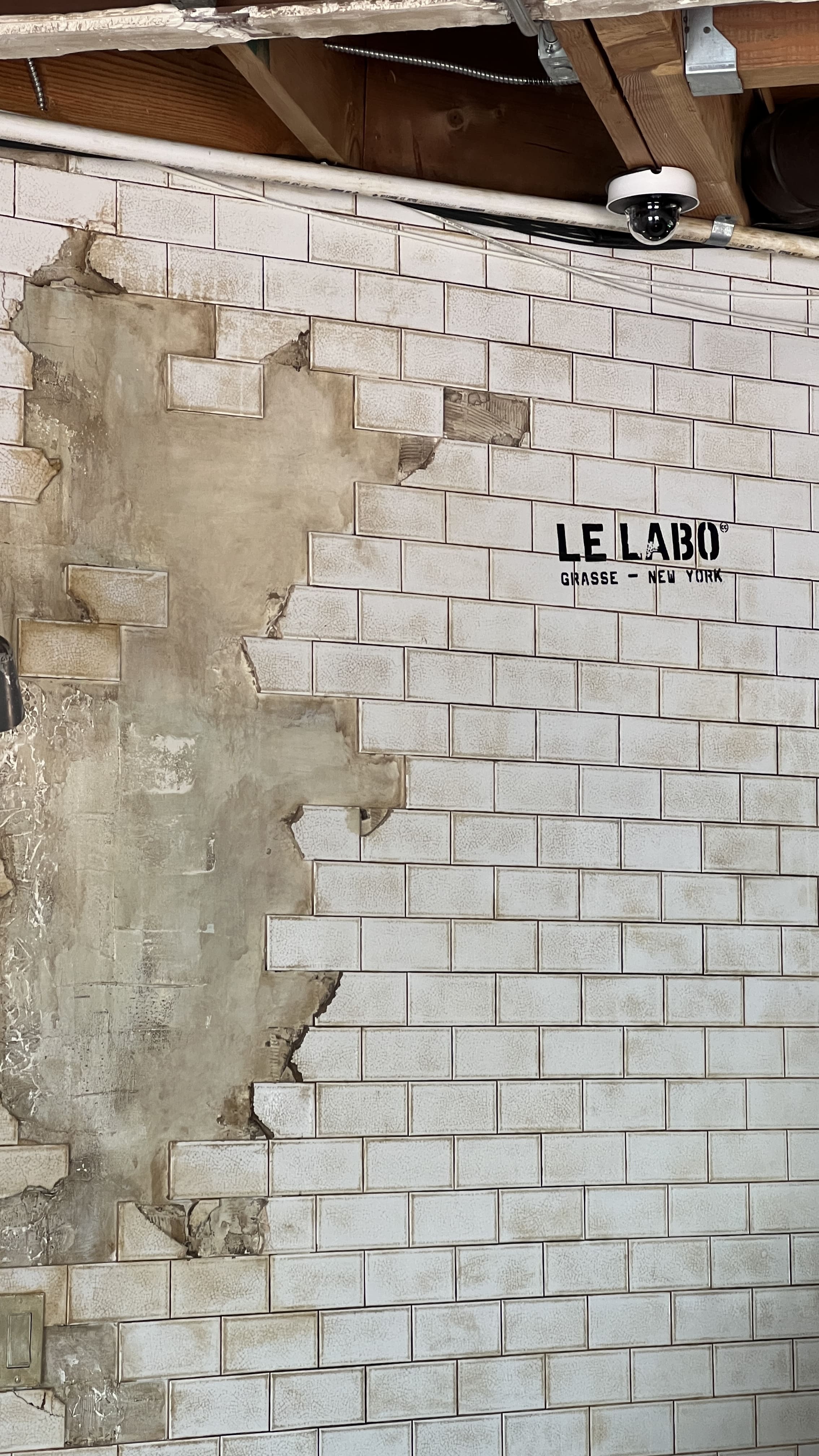 캘리포니아 여행지 추천