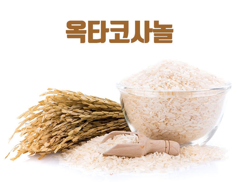 전립선영양제 쏘팔메토효능 완벽정리