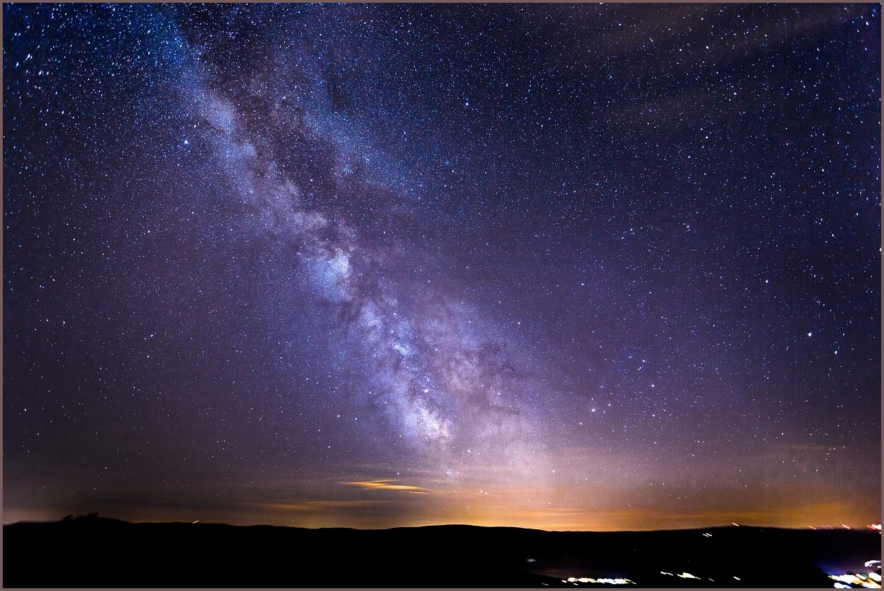 스타리아 하이브리드 가격