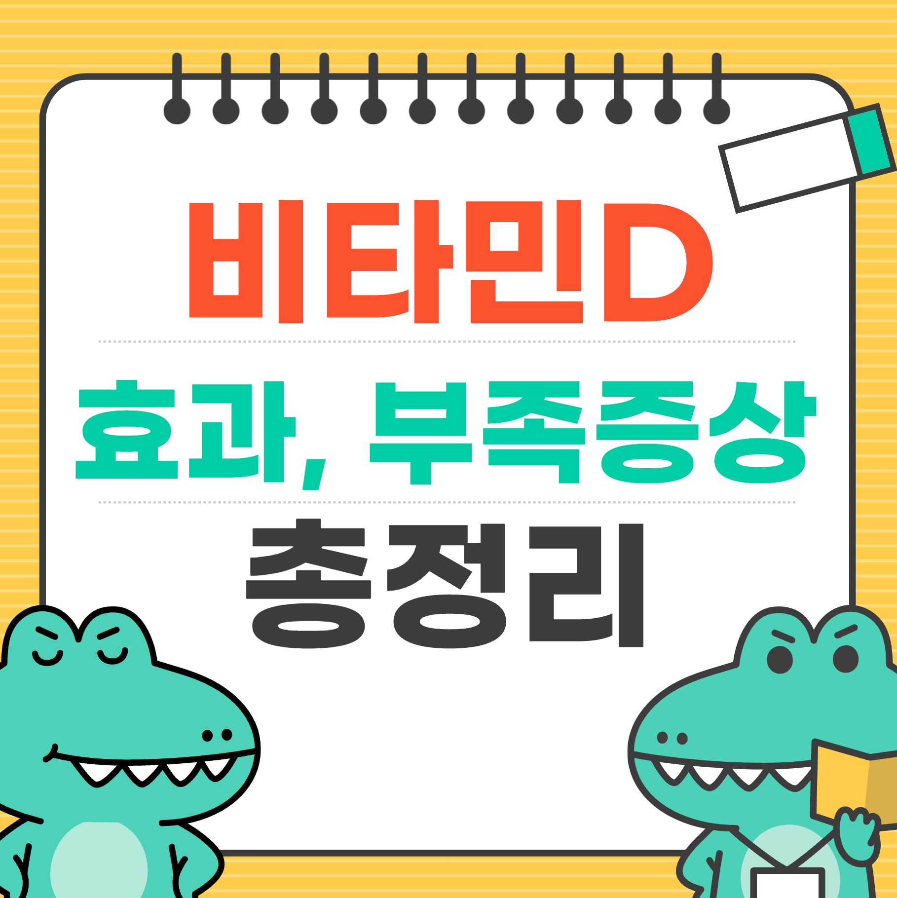 비타민D-총정리