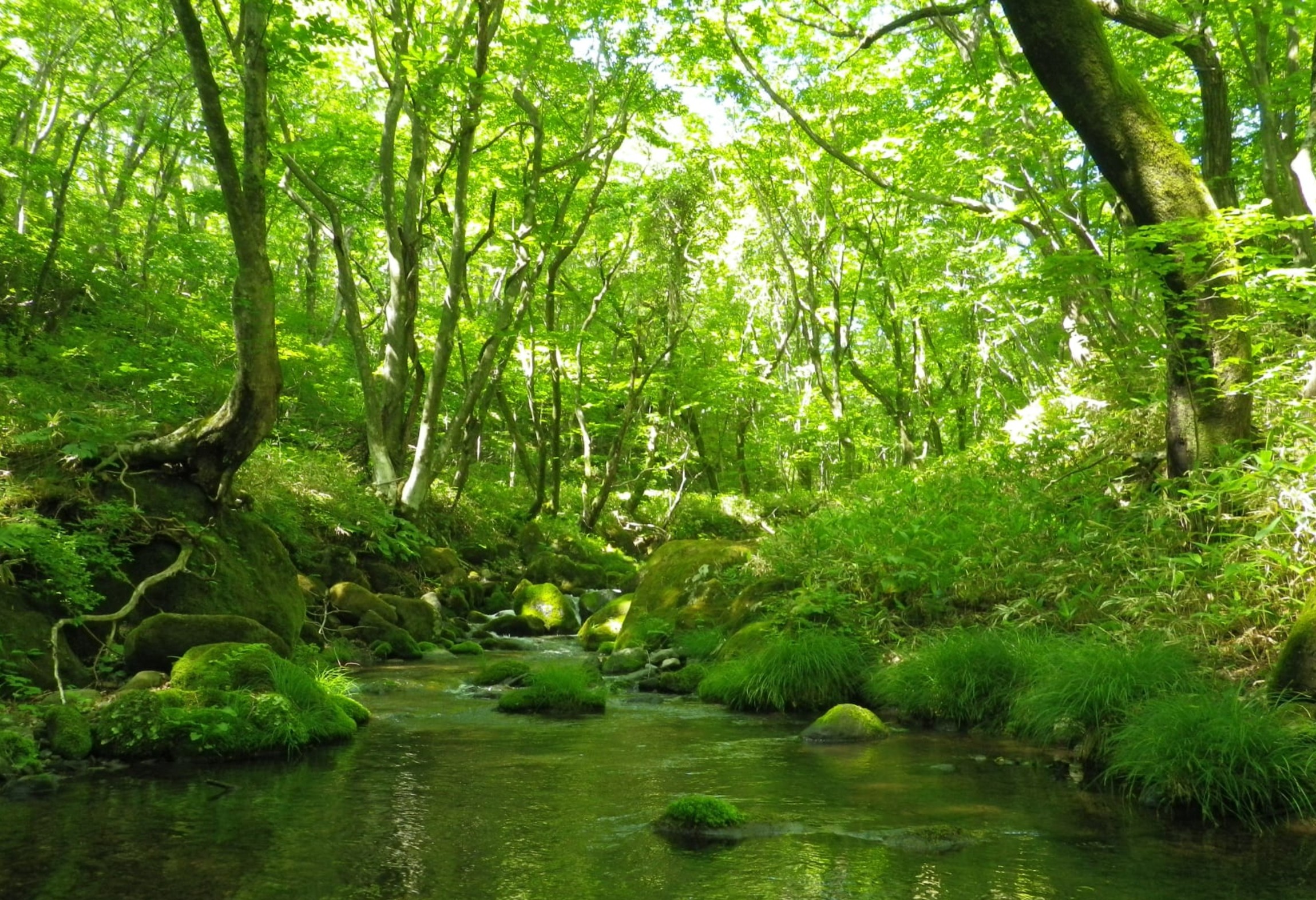 도쿄 근교에서 만나는 왕실의 안식처, 나스(Nasu) 여행기