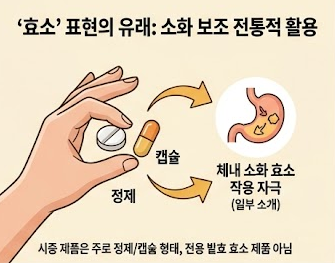 파라다이스그래인-효소-효능-내돈내산-효과-부작용-먹는방법-구입처