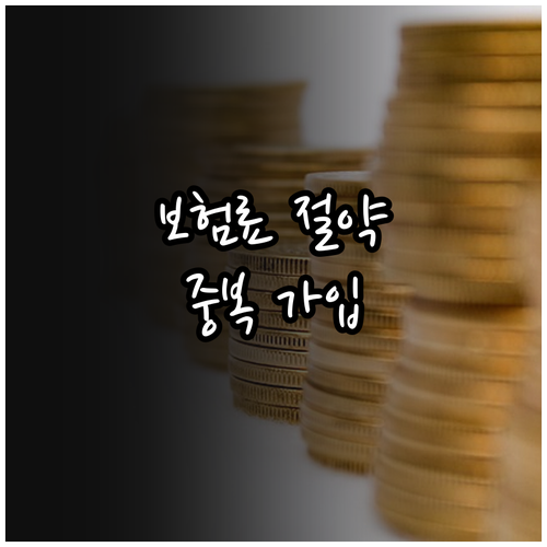 보험료는 줄이고 보장은 늘리는, 중복