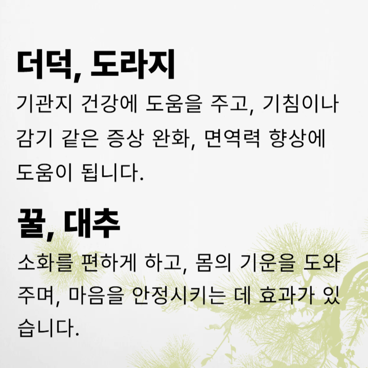 더덕, 도라지, 꿀, 대추 효능 소개글