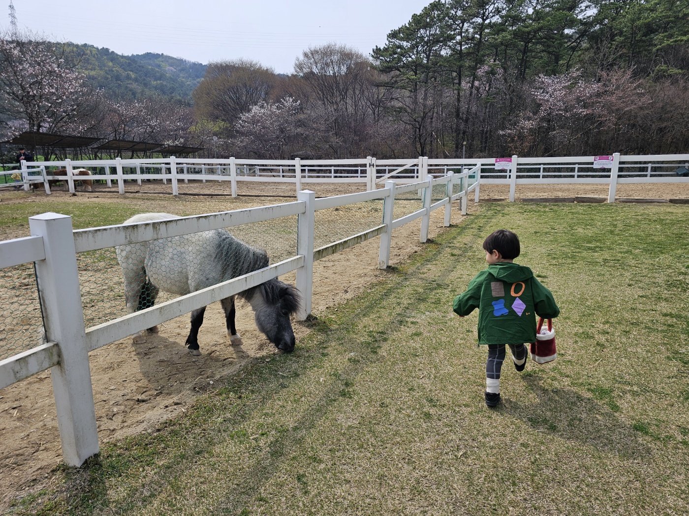 ※ 둘러보기