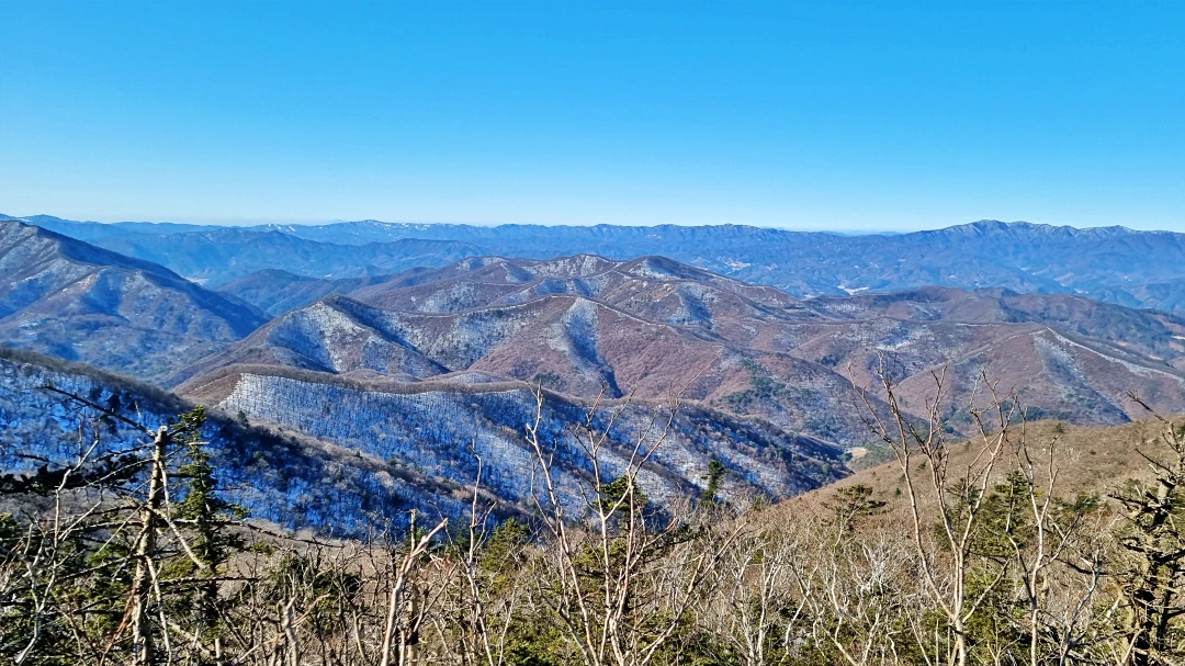 발왕산 천년주목숲길에서 바라본 전경 모습. 강원도의 산맥이 보인다.