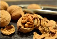 호두 효능 06