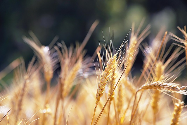 전립선비대증 증상 9