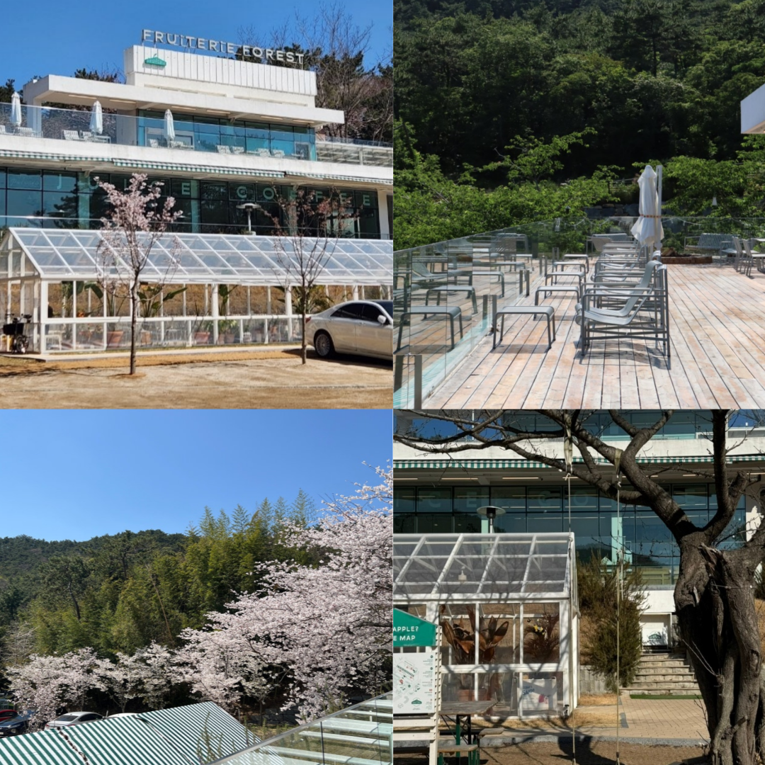 프루터리포레스트 해운대 달맞이점 외부사진