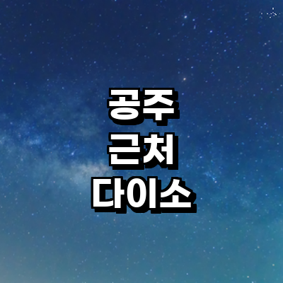 공주시 종합생활용품 다이소