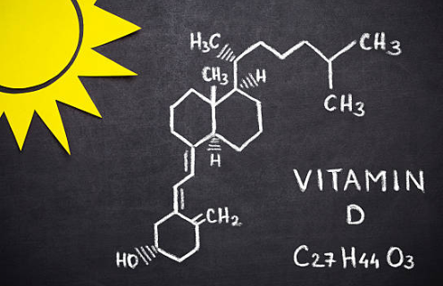 비타민D 효능