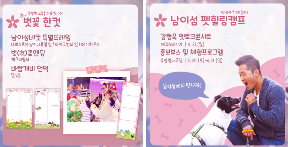 남이섬 벚꽃축제