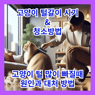 고양이 털갈이 시기와 청소방법 및 고양이 털이 많이 빠질 때 원인과 대처방법