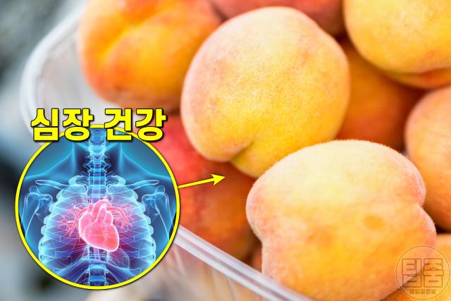복숭아 효능 6가지,심장에 좋은 음식,팁줌