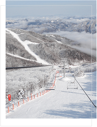 하이원 리조트 스키장과 관련된 사진