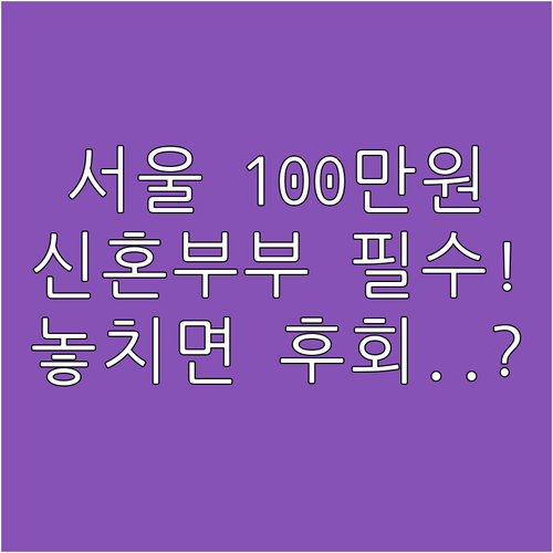 놓치면 후회할 서울 신혼부부 100만..