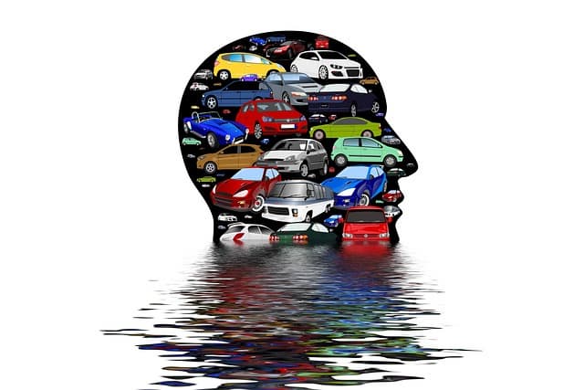 기후 변화 적응 전문가의 역할