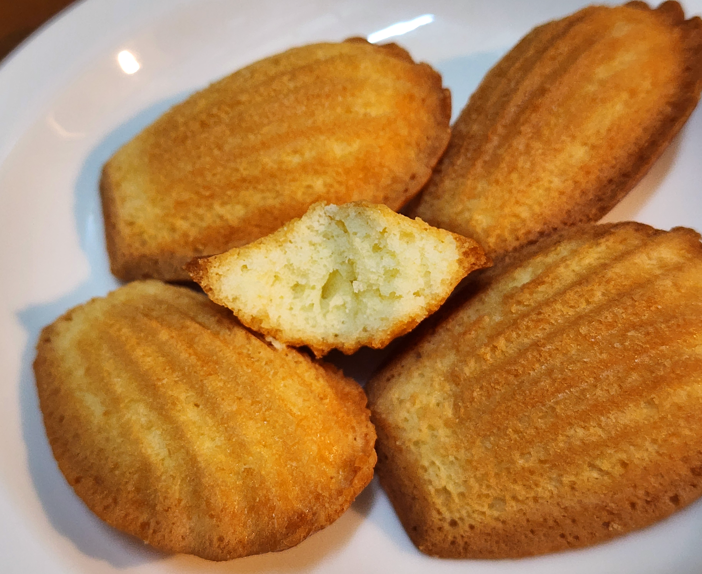 포켓몬빵_마돌의꼬마밀크마들렌