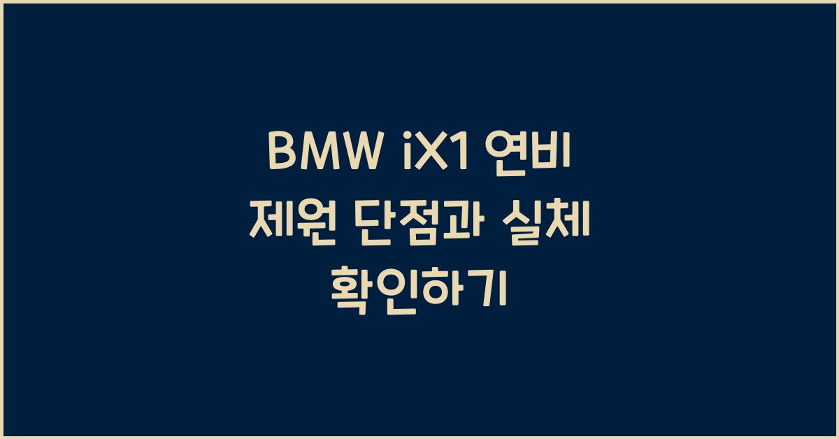 BMW iX1 연비 제원 단점
