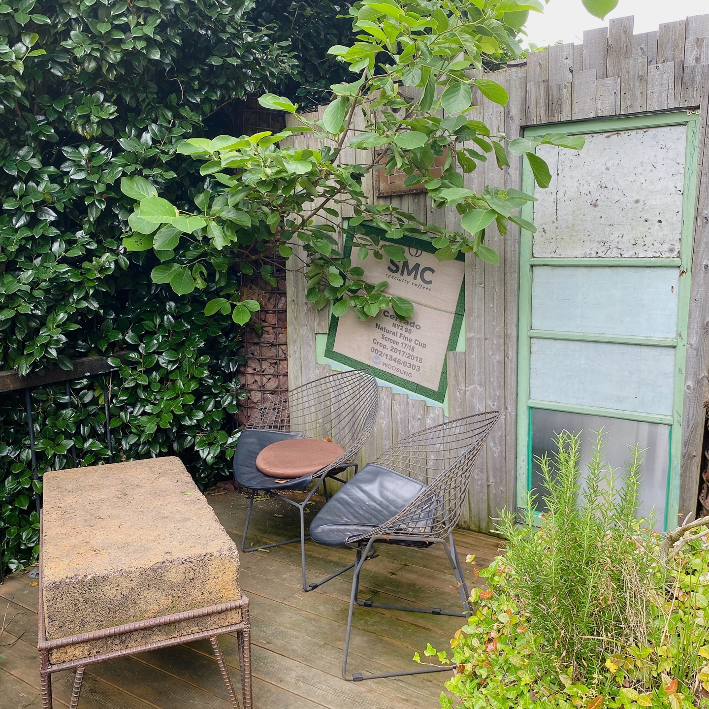 제주 노형동 러브랜드 정원카페 미스틱3도 피크닉 한라봉 흑돼지